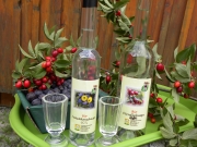 Bio Dirndlschnaps